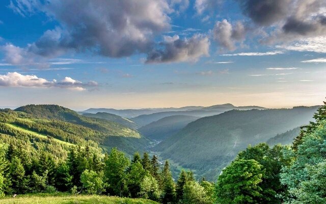 Feldberg im Sommer